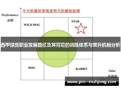 西甲球员职业发展路径及其背后的训练体系与晋升机制分析