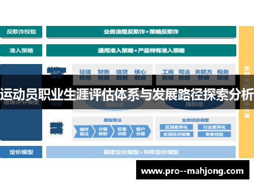 运动员职业生涯评估体系与发展路径探索分析