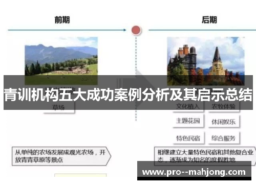 青训机构五大成功案例分析及其启示总结