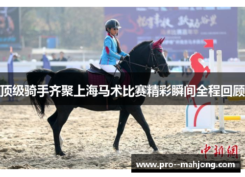 顶级骑手齐聚上海马术比赛精彩瞬间全程回顾
